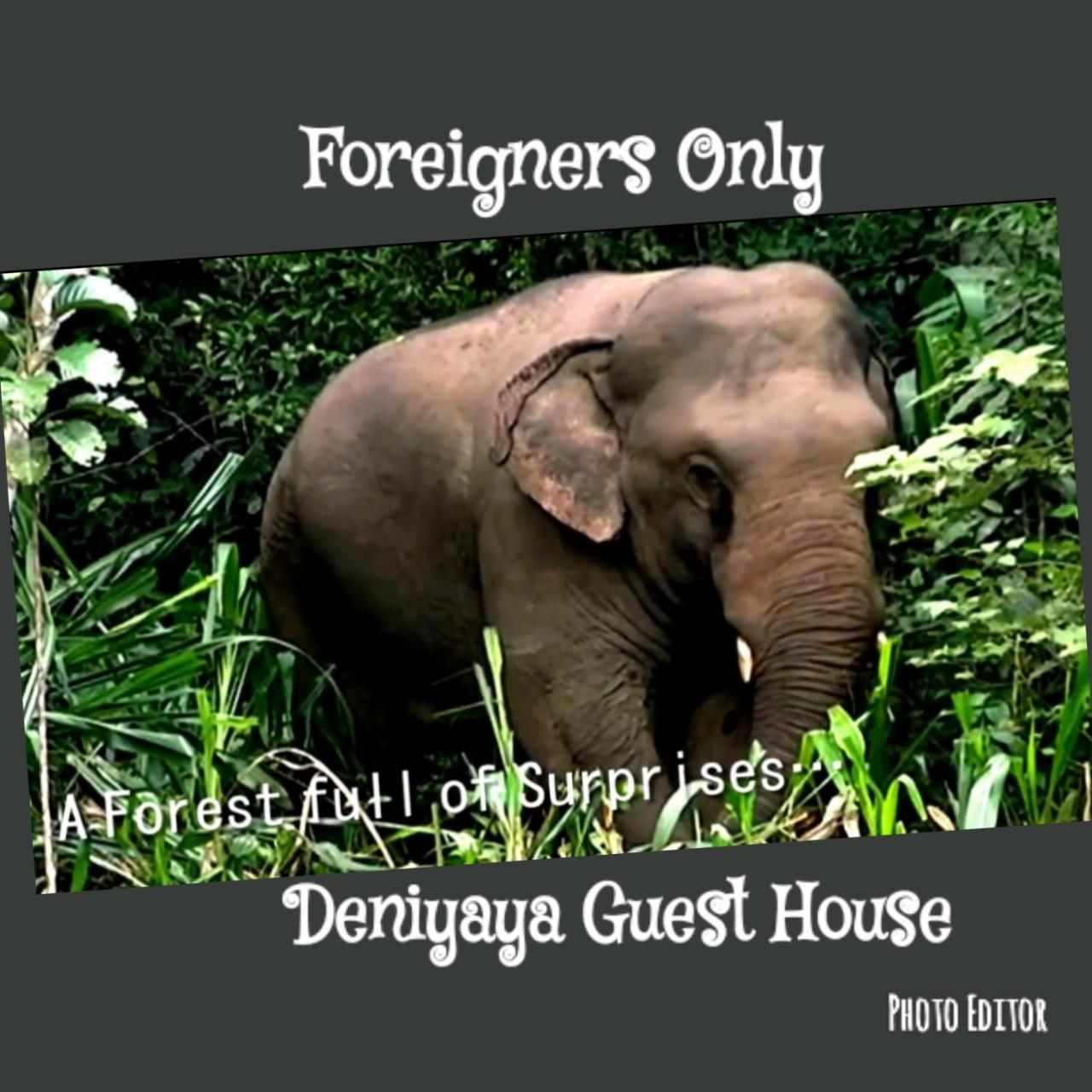 Deniyaya Guest House Экстерьер фото